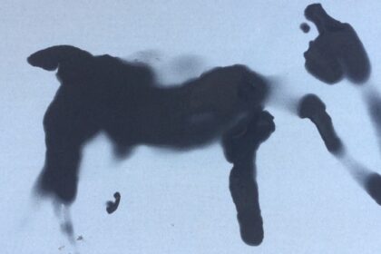 Västerås Filmfestival bjuder på svenska och internationella kortfilmer online